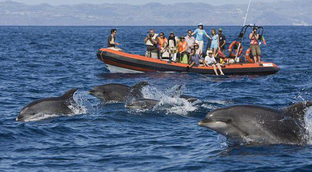 尋找隱藏的天堂 玩轉(zhuǎn)葡萄牙亞速爾群島