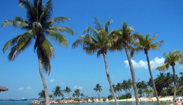 民丹島在哪個(gè)國家