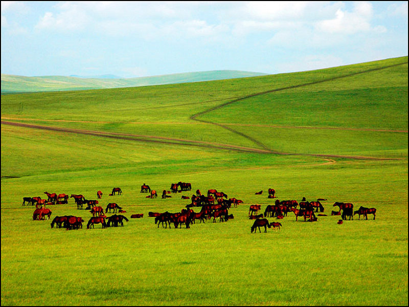 點(diǎn)擊查看源網(wǎng)頁