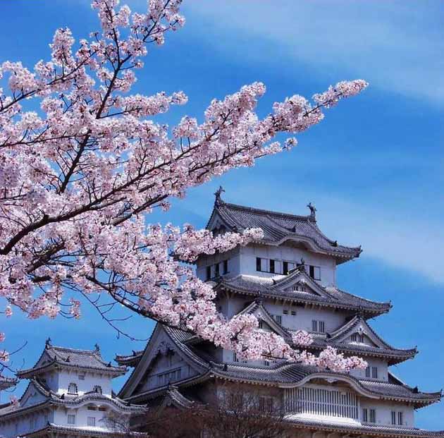 點(diǎn)擊查看源網(wǎng)頁