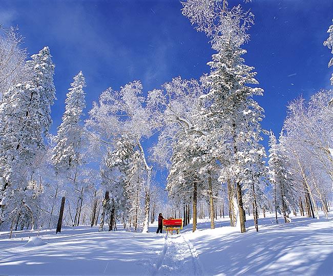 點(diǎn)擊查看源網(wǎng)頁